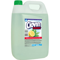 Mydło w płynie 5 litrów ANTYBAKTERYJNE (zielone) cytryna i zielona herbata CLOVIN z gliceryną