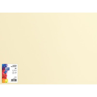 Karton kolorowy CREATINIO A1 160G (25 ark.) 12 kremowy 400149521 TOP 2000