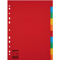 Przekadki karton A4 10 kart ESSELTE 100201 kolorowe bez karty opisowej