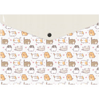 Teczka kopertowa A4 PP z nadrukiem KITTENS TKN-A4-35 BIURFOL