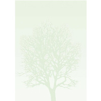 Arkusze barwne A4 DRZEWO 100g. (50ark. ) 230410 Galeria Papieru