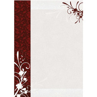 Dyplom A4 FINEZJA 170g (25ark) 211817 GALERIA PAPIERU